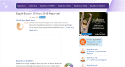 Desktop Screenshot of basakburcu.org